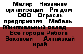 Маляр › Название организации ­ Ригдом, ООО › Отрасль предприятия ­ Мебель › Минимальный оклад ­ 1 - Все города Работа » Вакансии   . Алтайский край